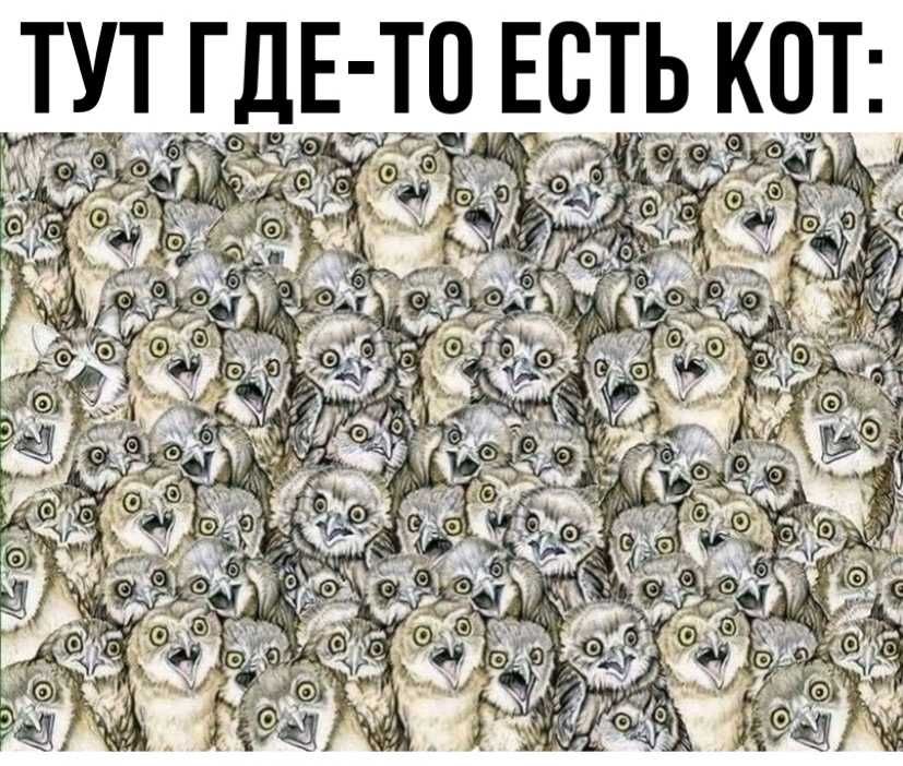 И ТУТТдЕТЧ ЕТРЬ КТ