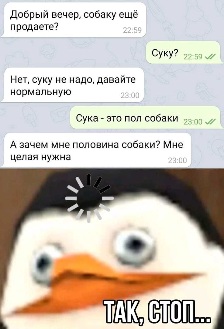 Добрый вечер собаку ещё продаете СУКУ 22 59 Нет суку не надо давайте нормальную Сука это пол собаки 2300 А зачем мне половина собаки Мне целая нужна