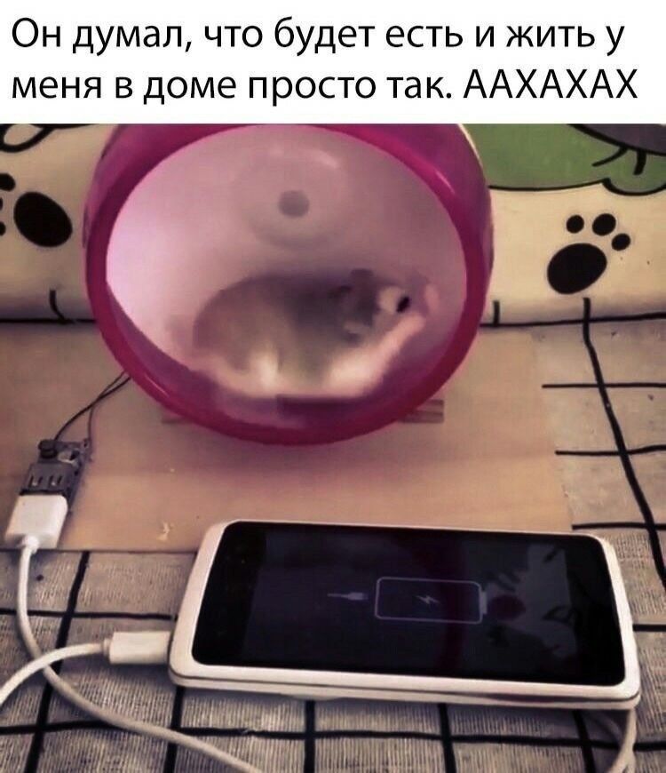Он думал что будет есть и жить у меня в доме просто так ААХАХАХ