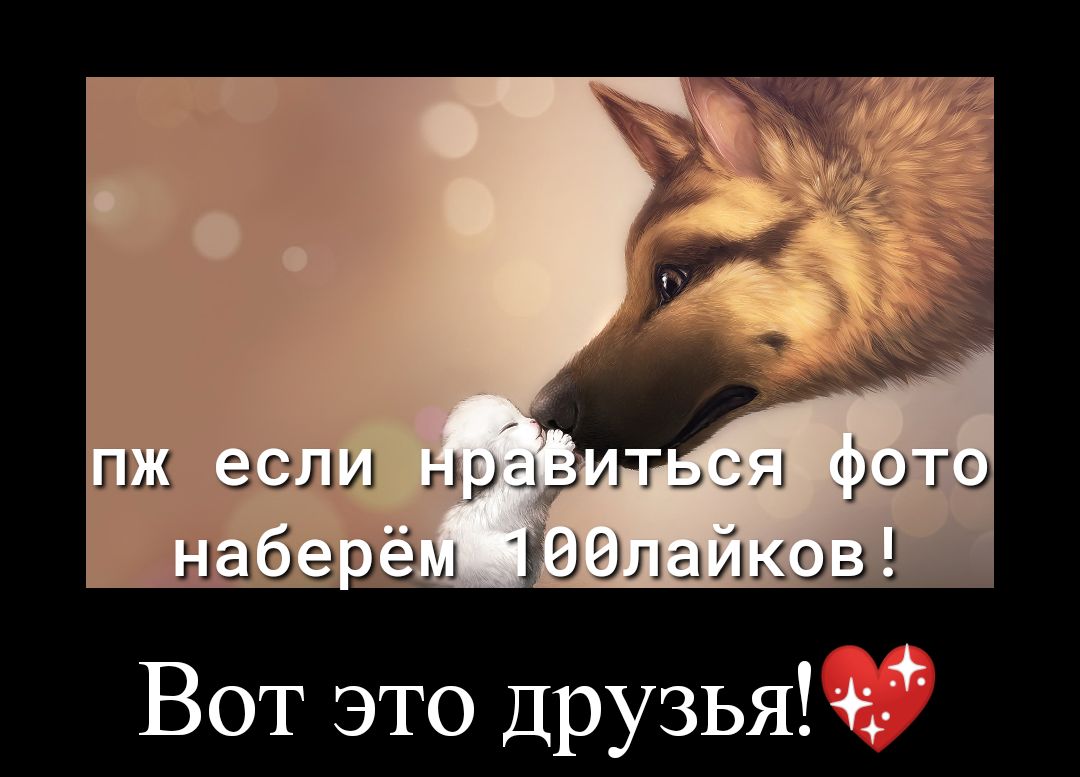 Вот это Друзья