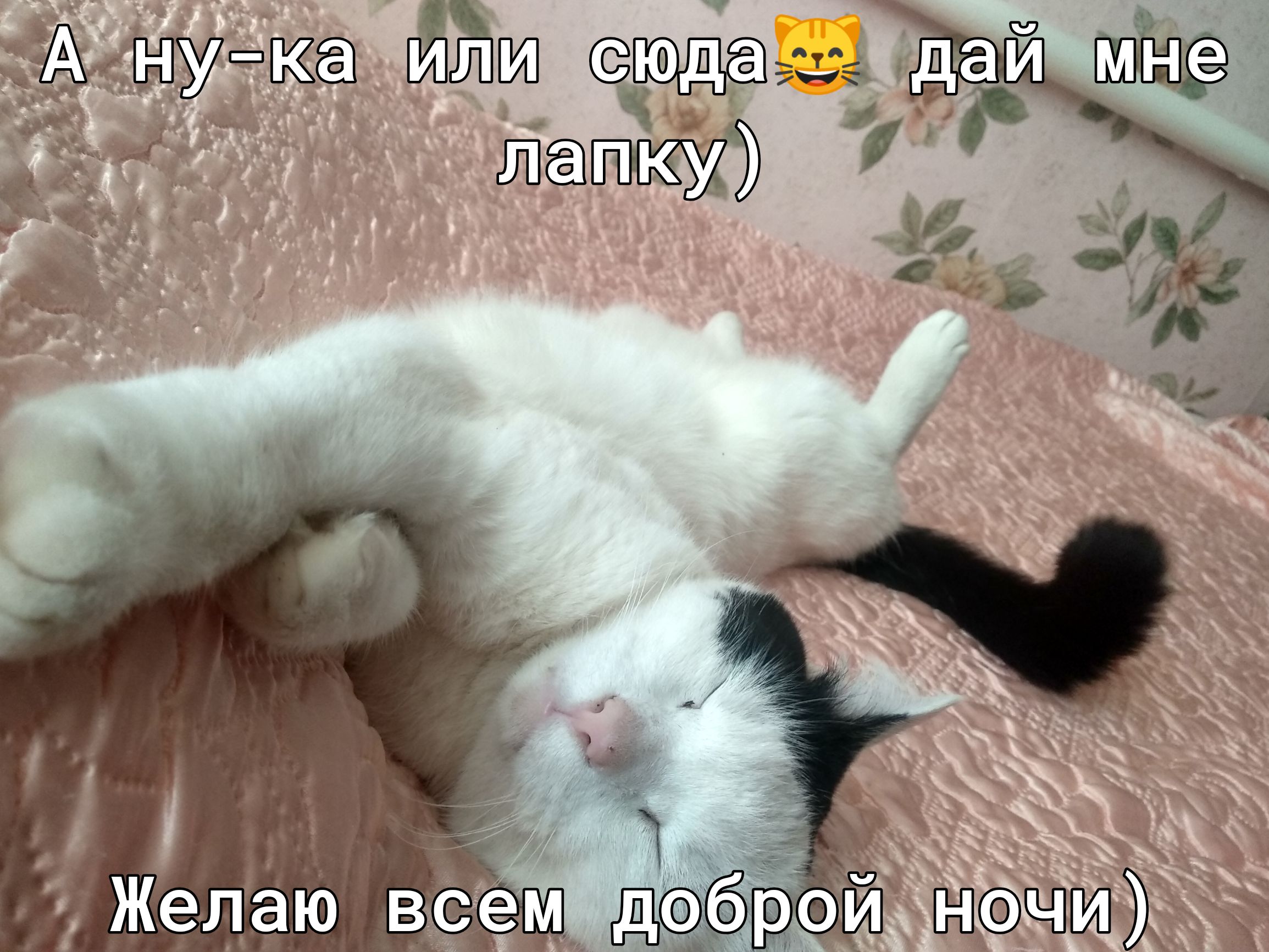 ю ушж 5 Е ддт 5 Ч