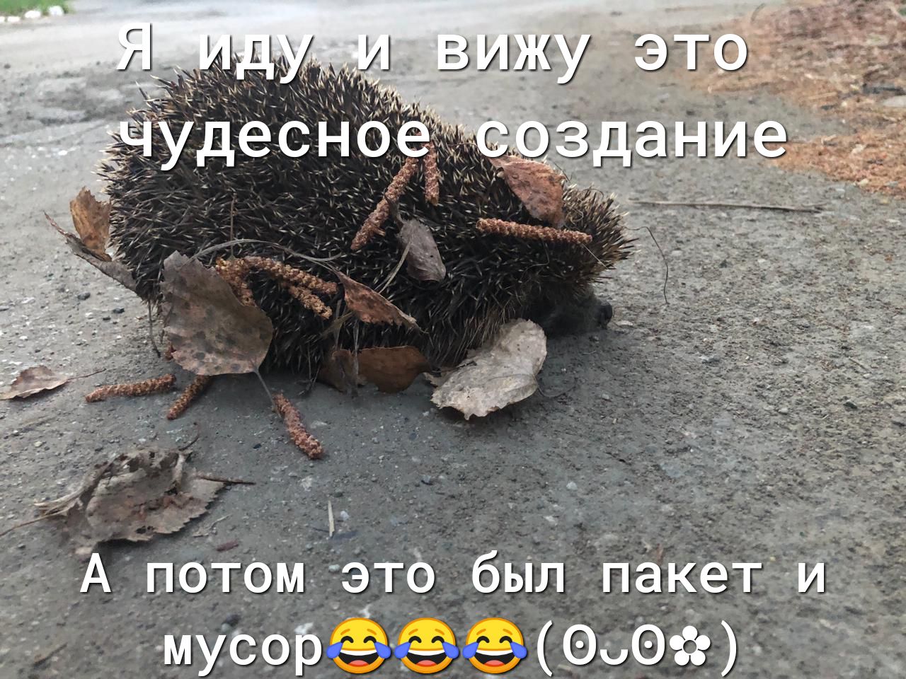 В АЖУ _ ЗЕТ Гі ЁЁ333 __