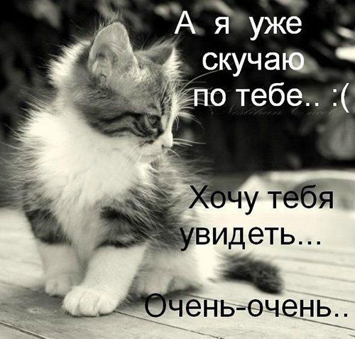 1 утая видеть т3Ё___4ЮЁЁНьзэчешзд1 _