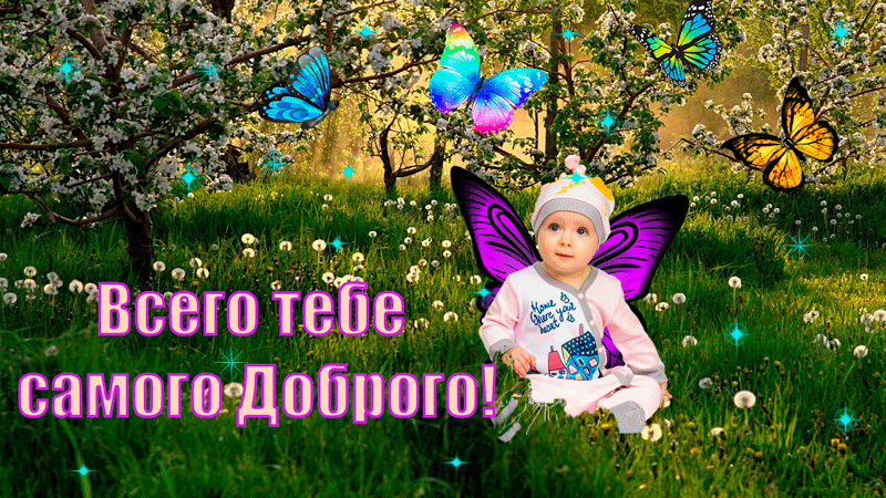 ЗЁЧ оо _ 41 Всего теТіе самомдобвить