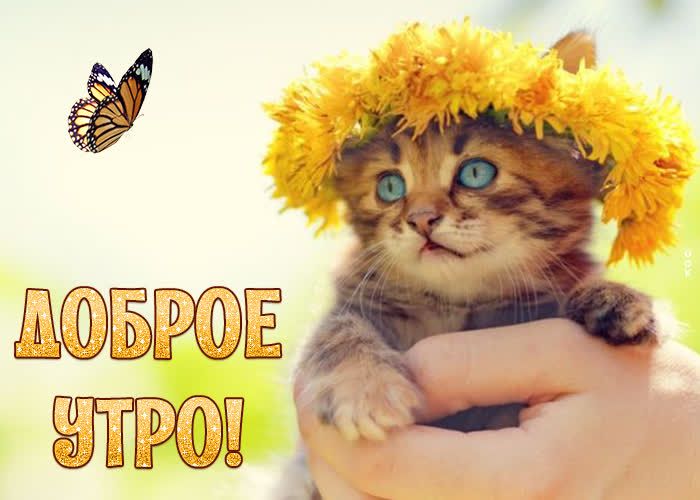 0 і