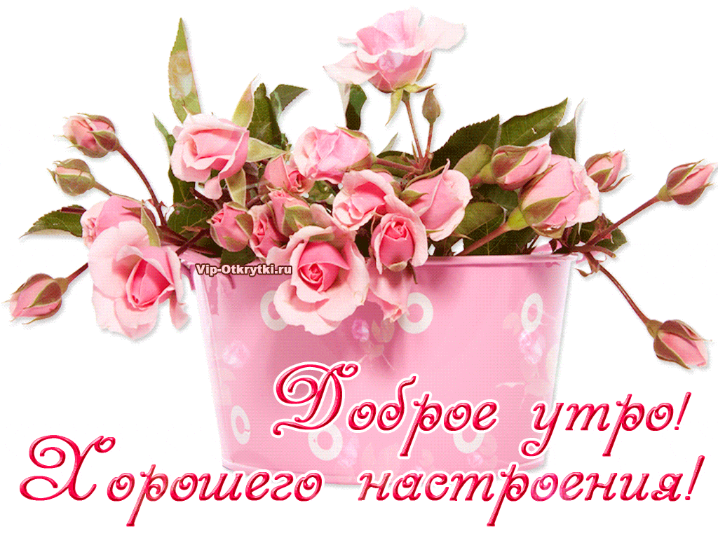 Ёё ве суть к ефошего настёениа