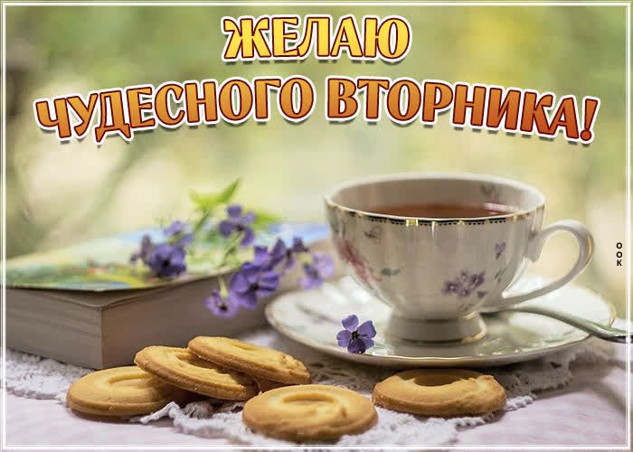 Р  диг в'югнищ