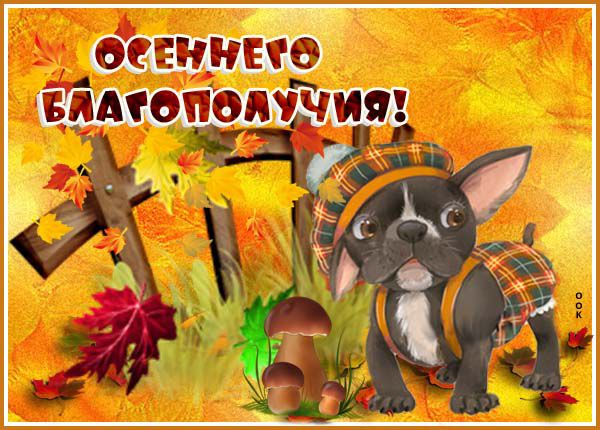 БЛАТОПОЛУЧИЯ Т