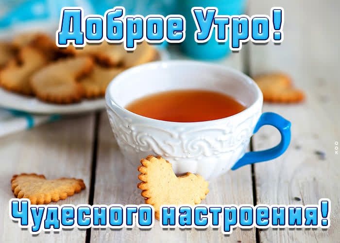 Чужесаюго аастриено