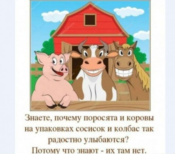 Знать пц почему поросята п коровы на упаковках сосисок колбас так радостно улыбаются Потому что знают их там нет
