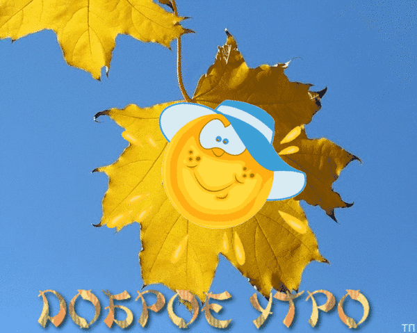7 т