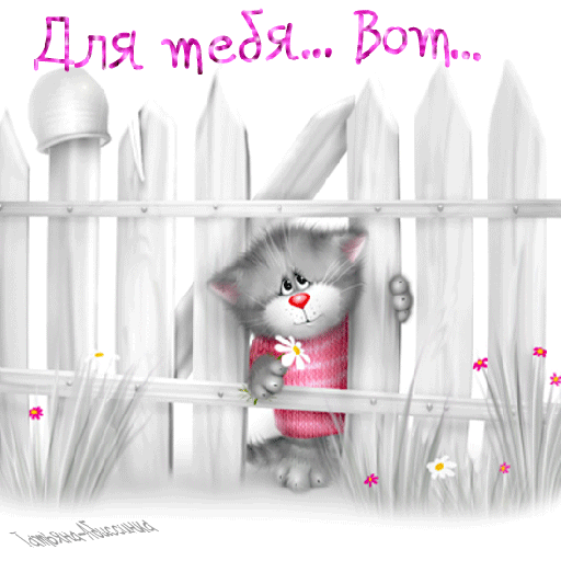 Для. Жедя... Ром.. Тои 1