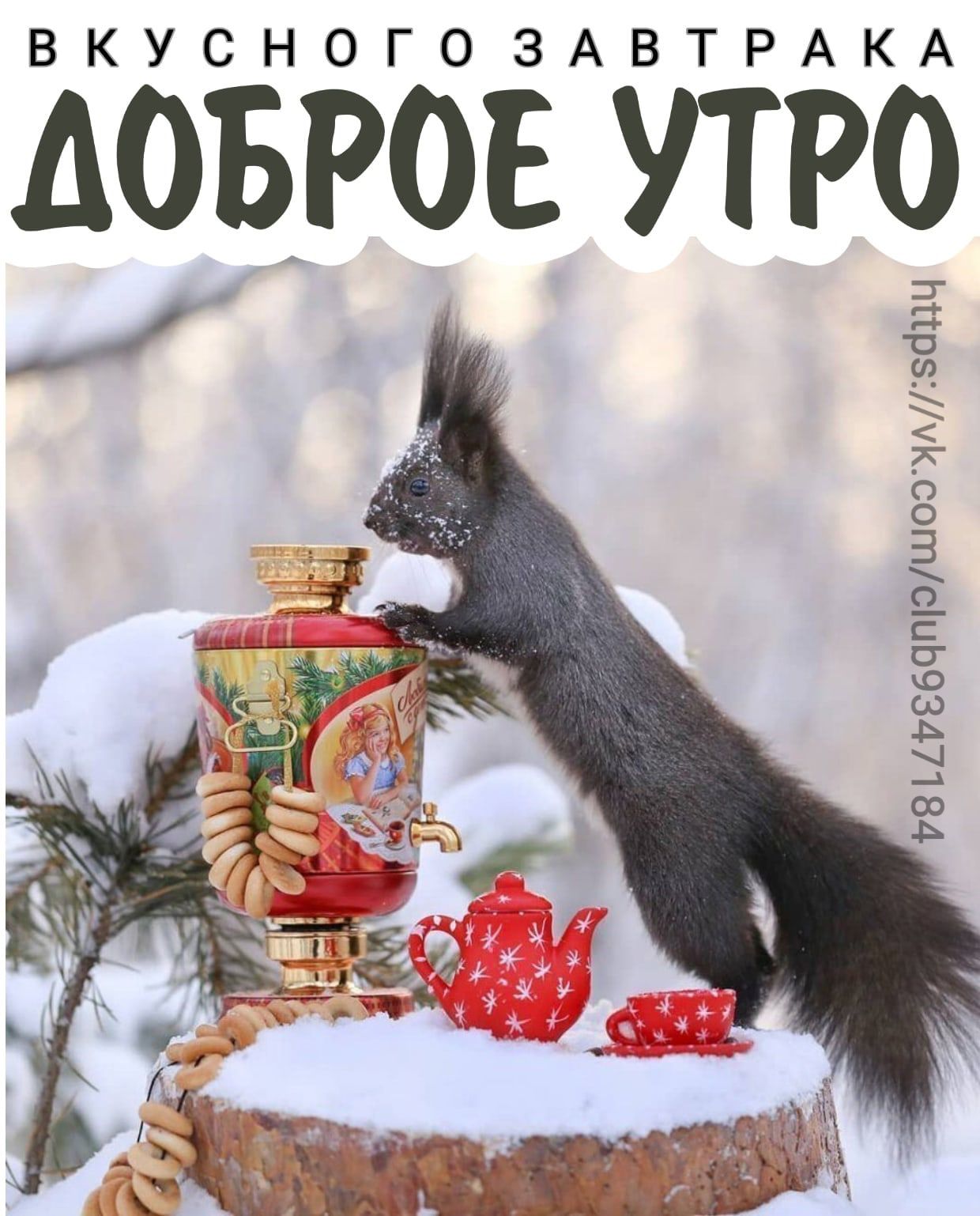 ВКУСНОГО ЗАВТРАК 178Ц1786ЧП0Ш00118С11Ч