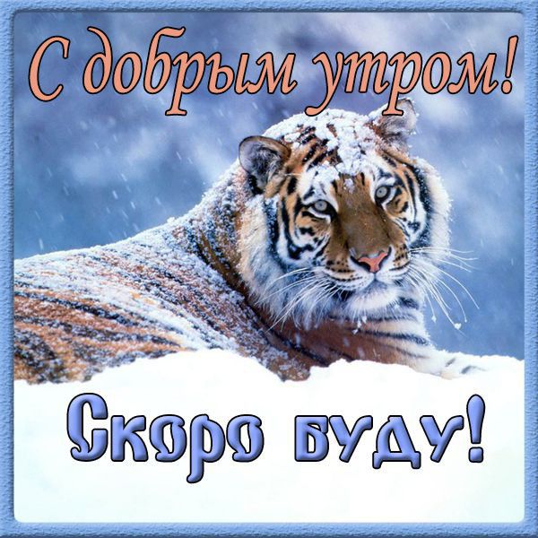 р _ 2