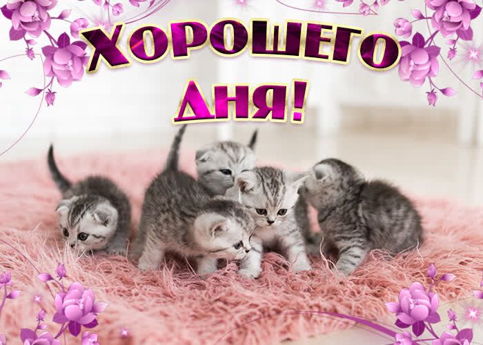 МХЗРОШЕП
