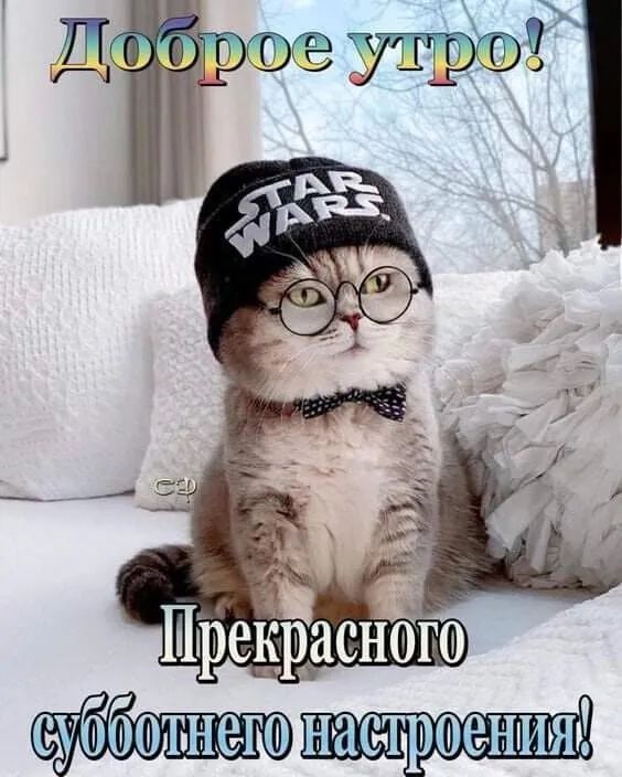 суббітнего настршеііііііі