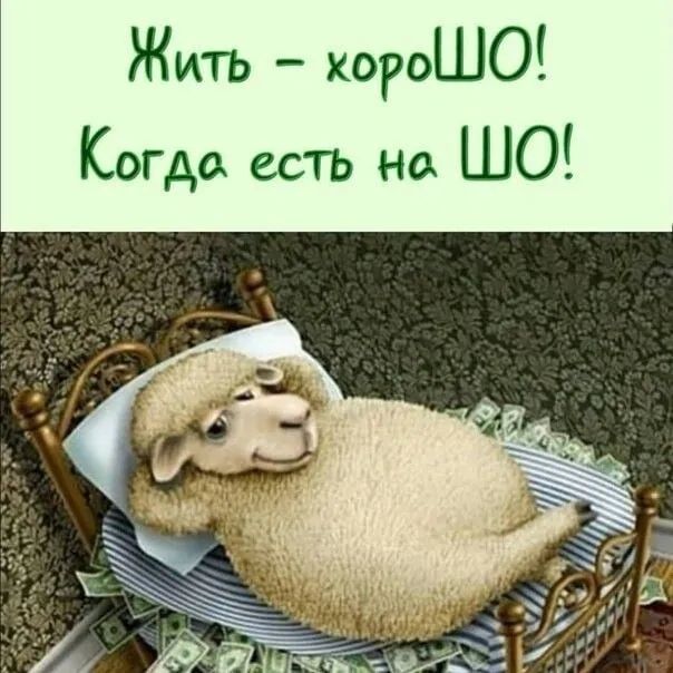 Жить хороШО Когда есть но ШО