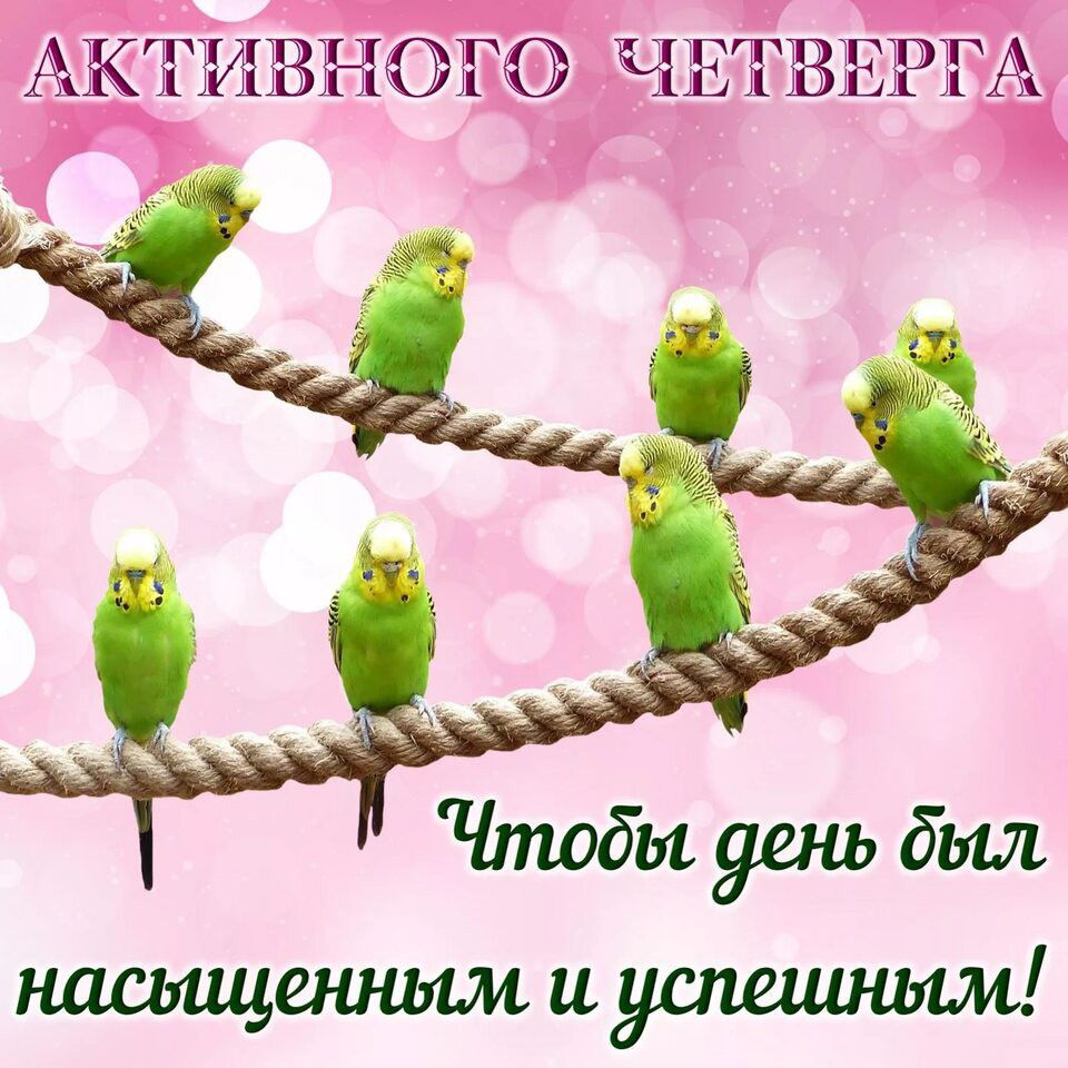 _ АКТИВИГ ЧЕЪВЗЁРГА
