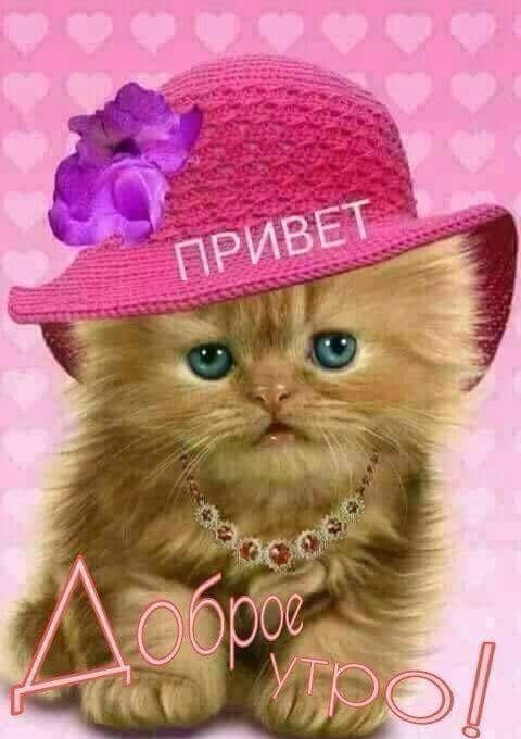 ээапттіши
