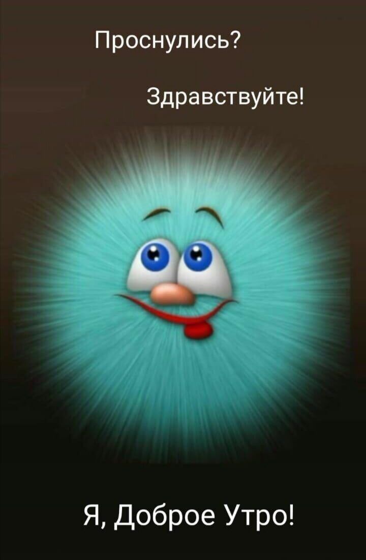 Проснулись Здравствуйте Я Доброе Утро