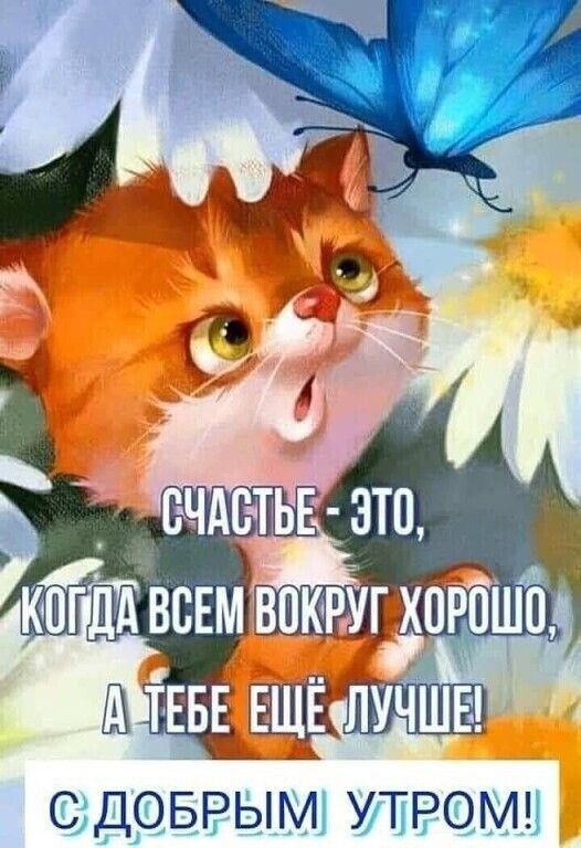 ДБРЫМі ИПРОМН