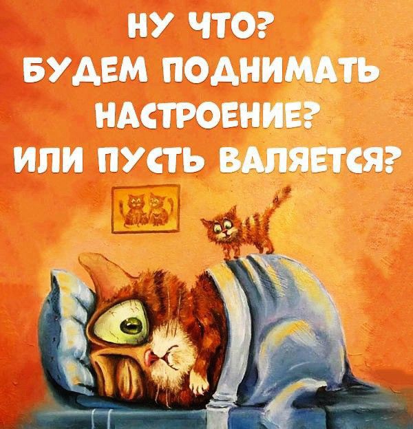 НУ ЧТО БУДЕМ ПОАНИМАТЬ НАСТРОЕНИЕ ИЛИ ПУСТЬ 61