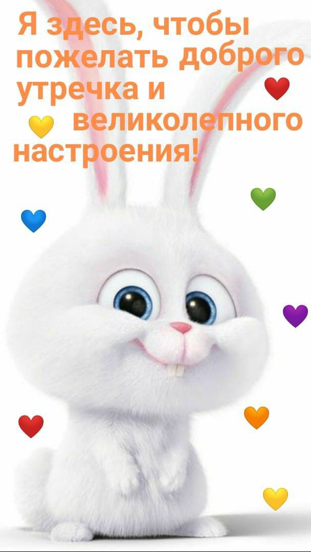ось чтобы пожелать доб ка и ликол ного наст ения Б