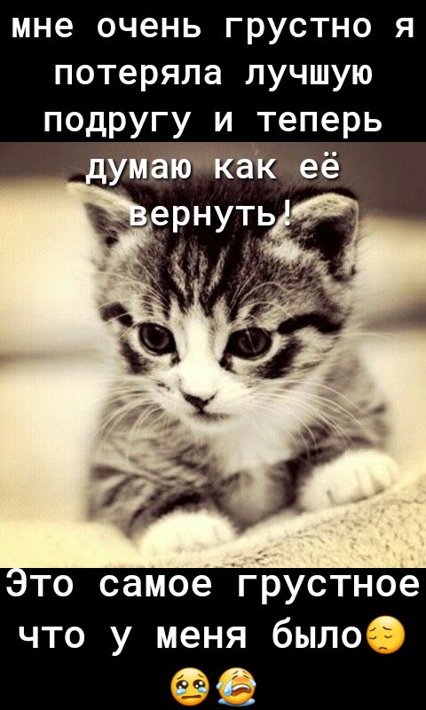 мне очень ГРУСТНО Я потеряла лучшую подругу и теперь пумаіётіёак её то самое грустное что у меня было _а