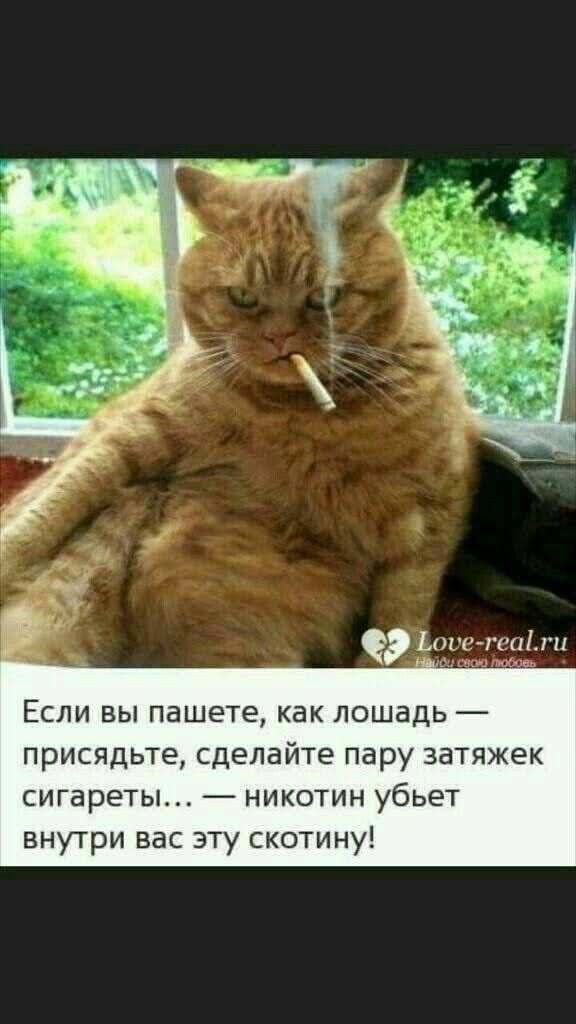 Если вы пашете как лошадь присядьте сделайте пару затяжек сигареты никотин убьет внутри вас эту скотину