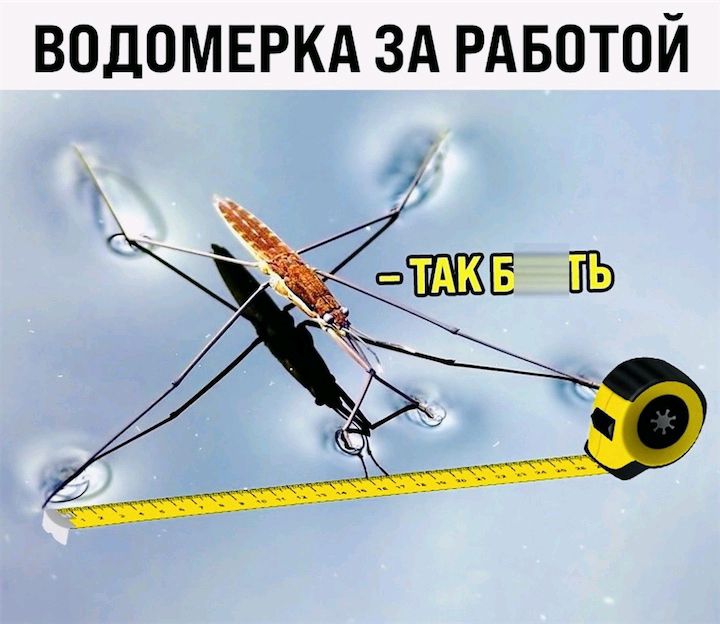 водомвркд ЗА РАБОТОЙ