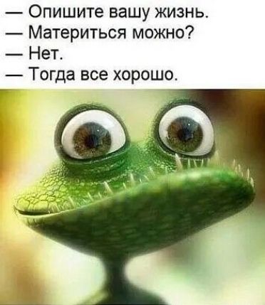 Опишите вашу жизнь Материться можно Нет Тогда все хорошо