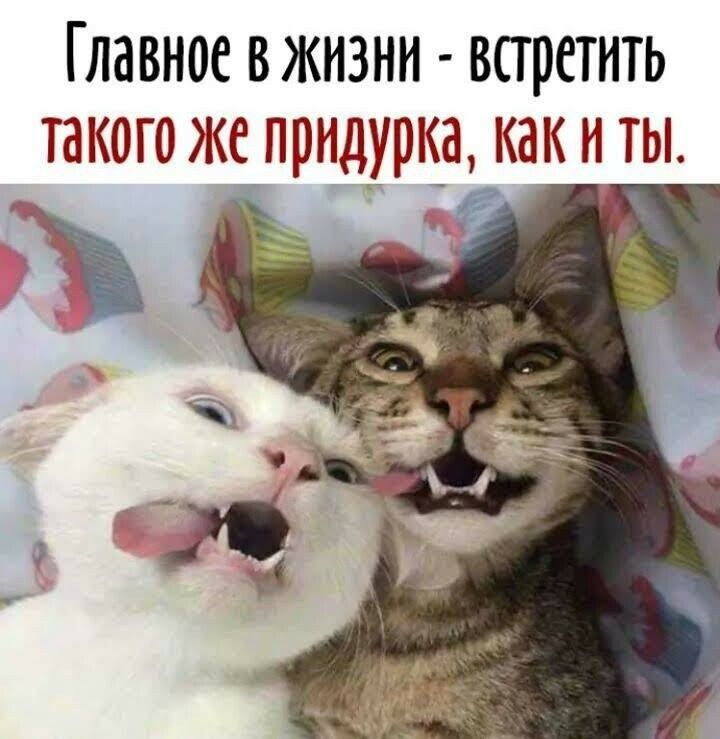 ГЛЗВНОС ВЖИЗНИ ВППЕТИТЬ такого же придурка как И ТЫ ні 3