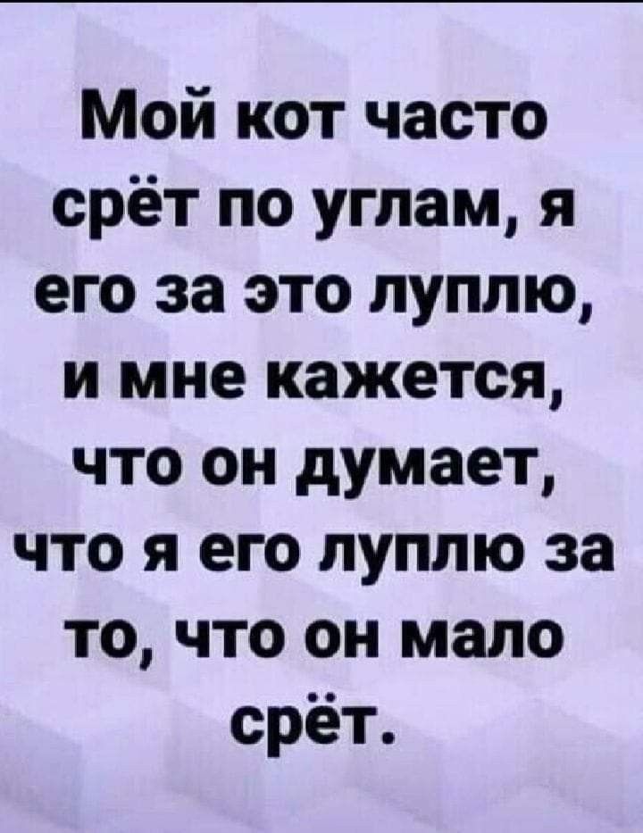 Мой кот часто срёт по углам я его за это луплю и мне кажется что он думает что я его луплю за то что он мало орёт