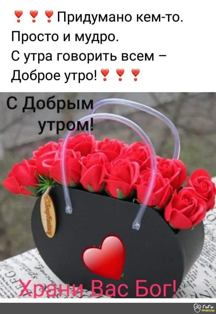 Придумано кем то Просто и мудро С утра говорить всем Доброе утро