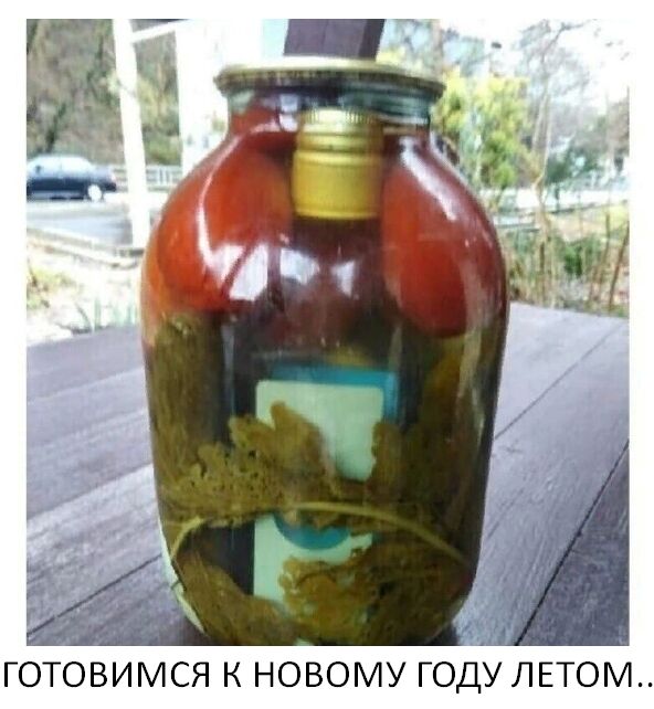 _ н ь ГО ВИМСЯ К НОВОМУ ГОДУ ЛЕТОМ