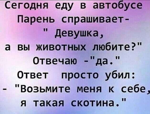 Сегодня еду в автобусе Парень спрашивает девушка а вы животных любите Отвечаю да Ответ просто убил Возьмите меня к себе я такая скотина