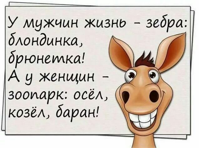 У мужчин жизне зебра бАондынка брюнетка А у женщин зоопарк осёА козёА баран