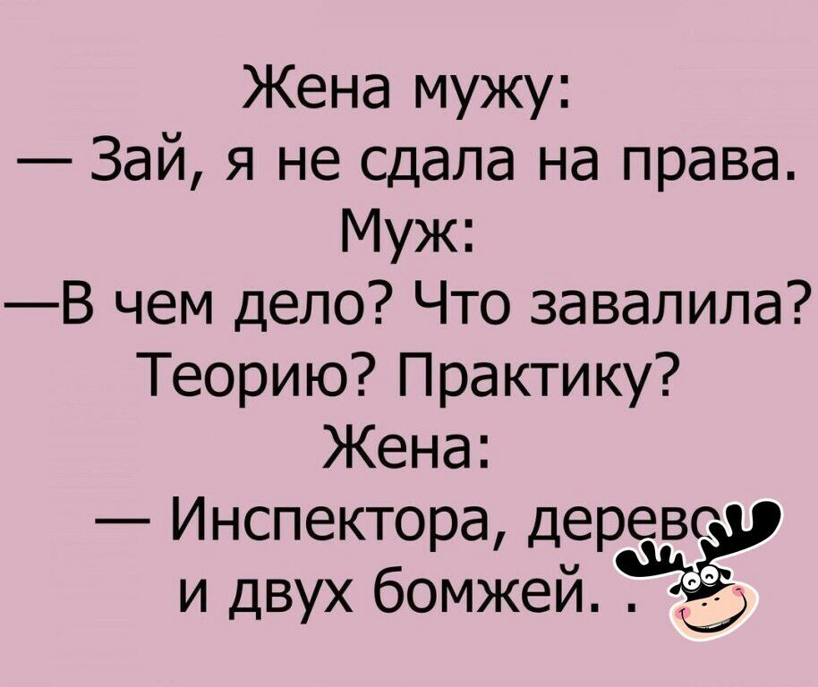 Жена мужу Зай я не сдала на права Муж В чем дело Что завалила Теорию Практику Жена Инспектора деревс и двух бомжей ь