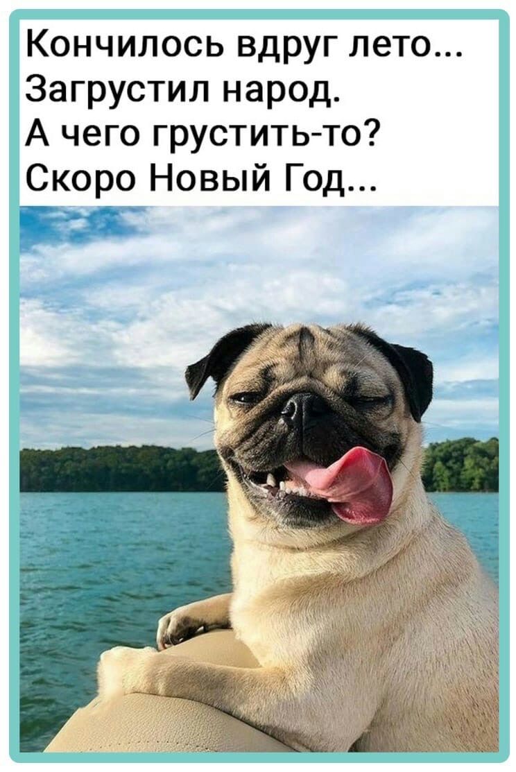 Кончилось вдруг лето Загрустил народ А чего грустить то Скоро Новый Год