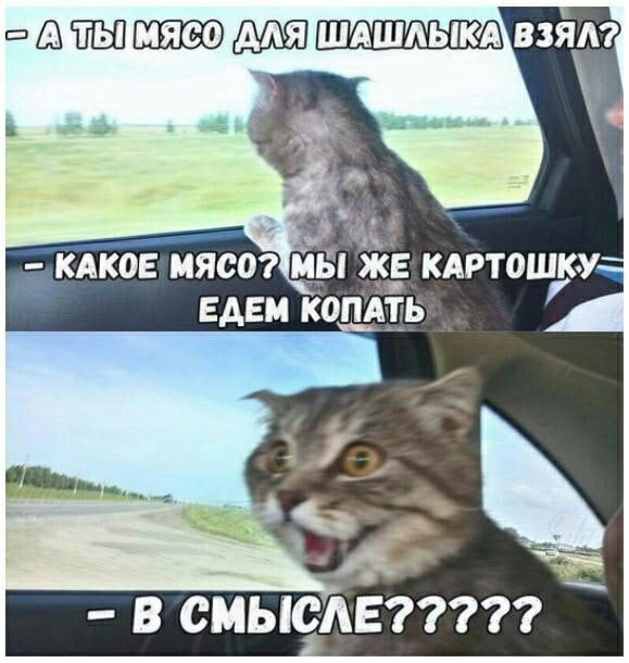 В СМЫОАЕ