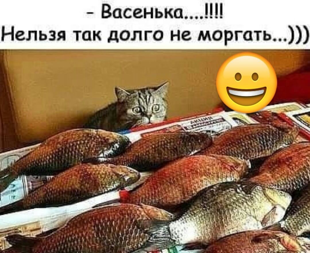 васенька. Нельзя так долго не моргать...