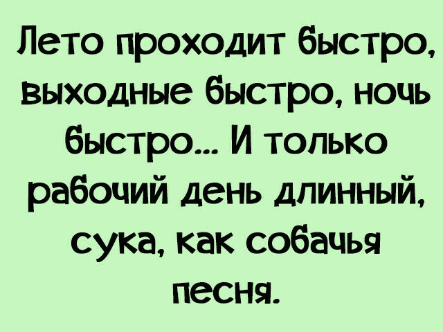Лето проходит быстро выходные быстро ночь быстро И только рабочий день длинный сука как собачья песня
