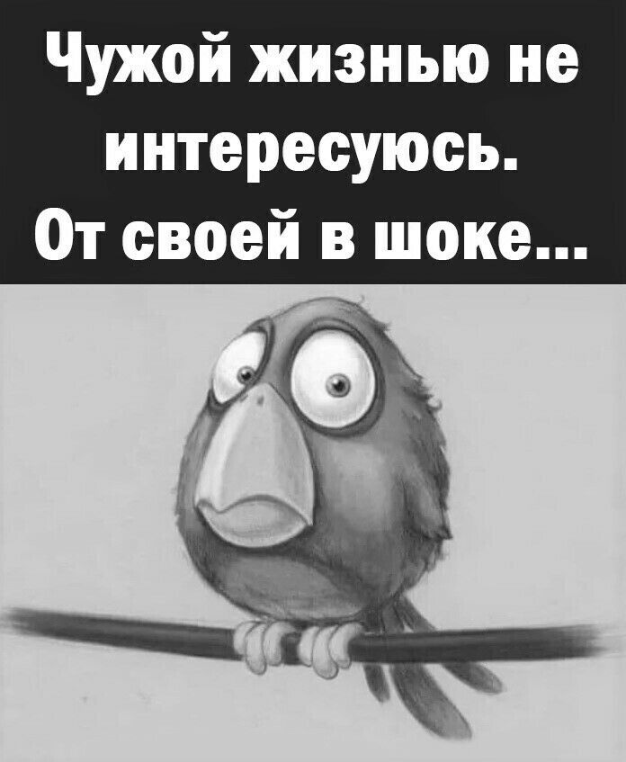 Чужой жизнью не интересуюсь От своей в шоке