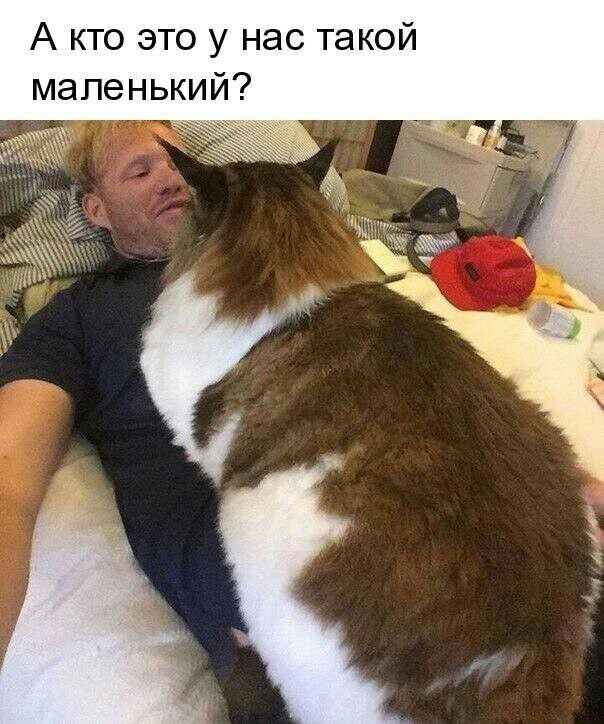 А кто это у нас такой маленький