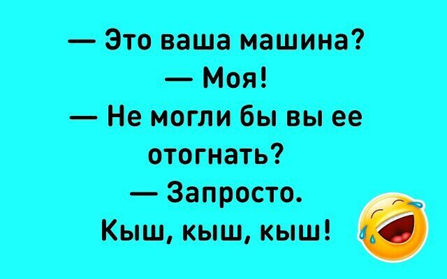 Это наша машина Моя Не могли бы вы ее отогнать Запросто Кыш кыш кыш