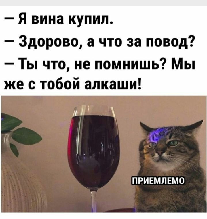 Я вина купил Здорово что за повод Ты что не помнишь Мы же с тобой алкаши ПРИЕМЛЕМО
