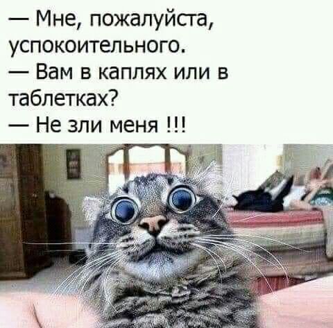 Мне пожалуйста успокоительного Вам в каплях или в таблетках Не зли меня