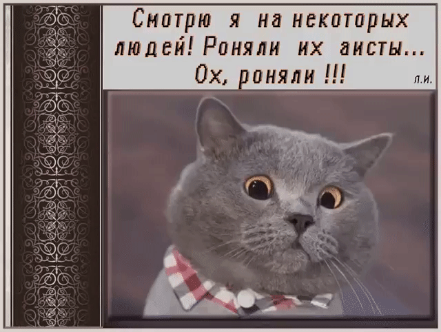 Смотрю я на некоторых людей Роняли их аисты оняли