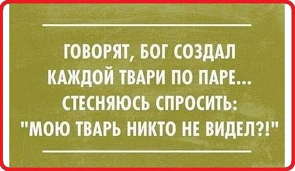 ГОВОРЯТ БОТ СОЗДАЛ КАЖДОЙ ТВАРИ ПО ПАРЕ СТЕСНЯЮСЬ СПРОСИТЬ МОЮ ТВАРЬ НИКТО НЕ ВИДЕЛ