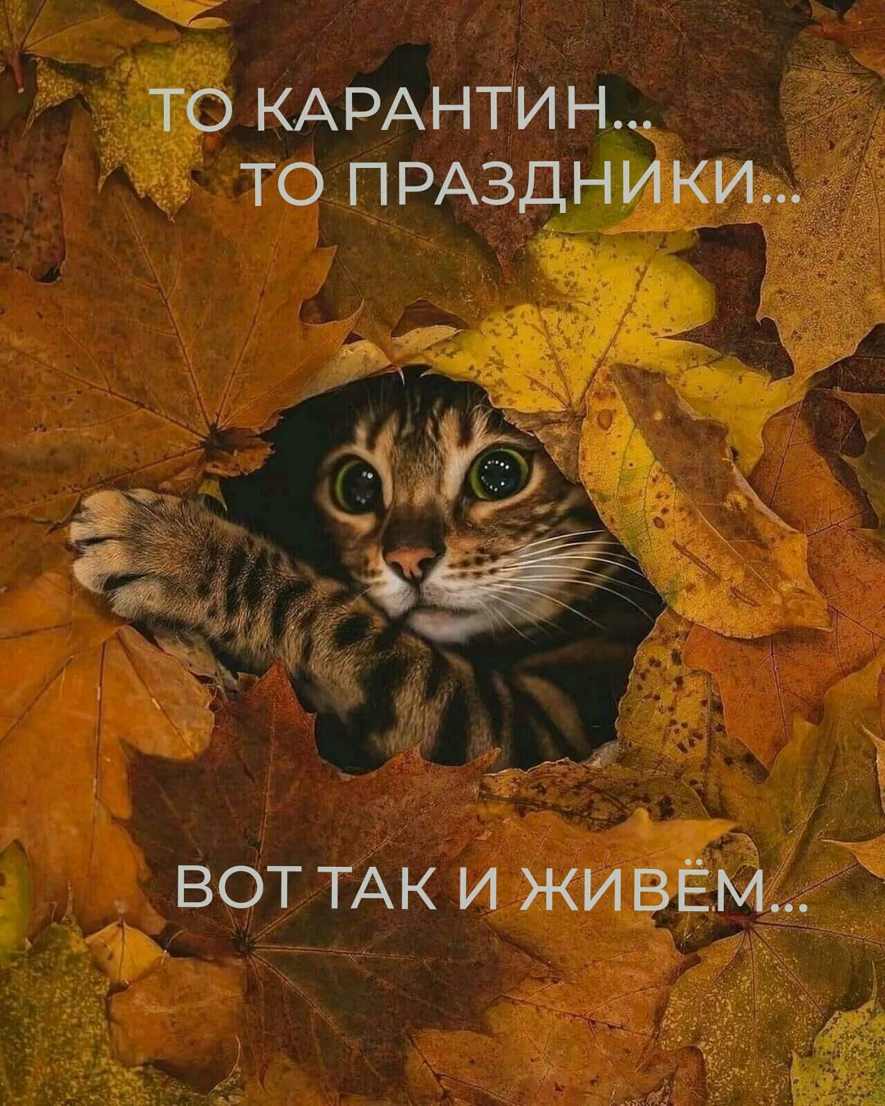 То карантин... То праздники.. Вот так и живём...